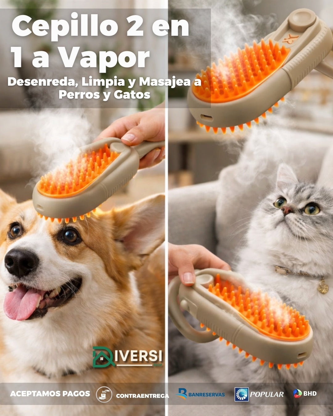 Cepillo 2 en 1 con Vapor y Masajeador para Perros y Gatos | Limpieza profunda, masaje relajante y menos estrés para tu mascota